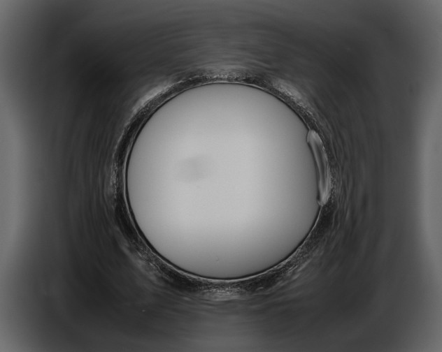 X0000086960583200705071337