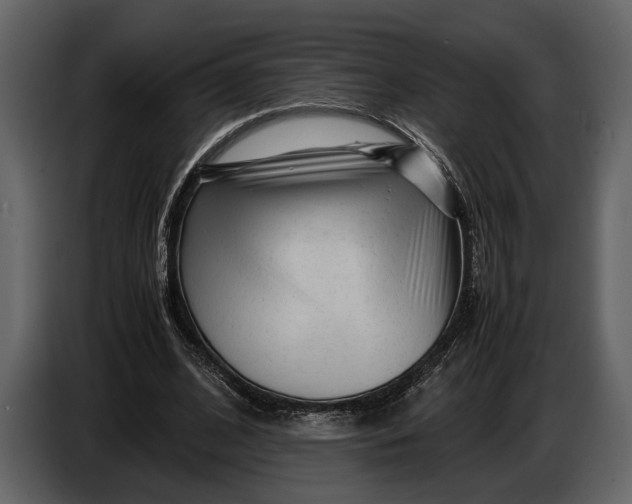 X0000086960584200705071337