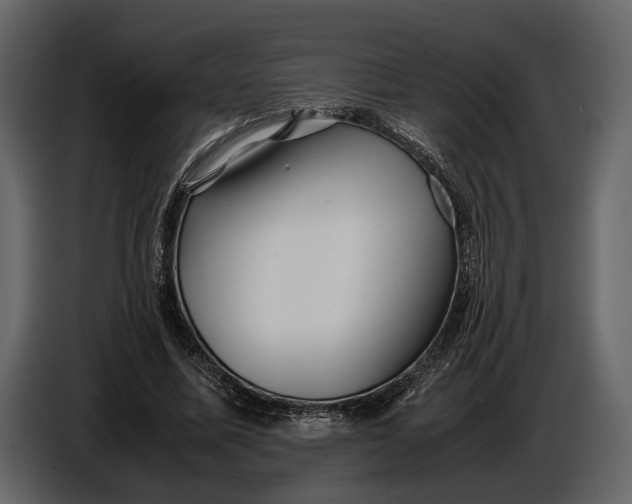 X0000086960587200705071337