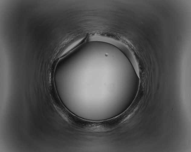 X0000086960589200705071337