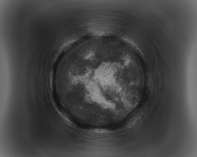 X0000086960590200705071337