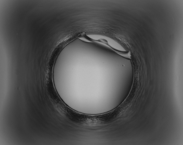 X0000086960591200705071337