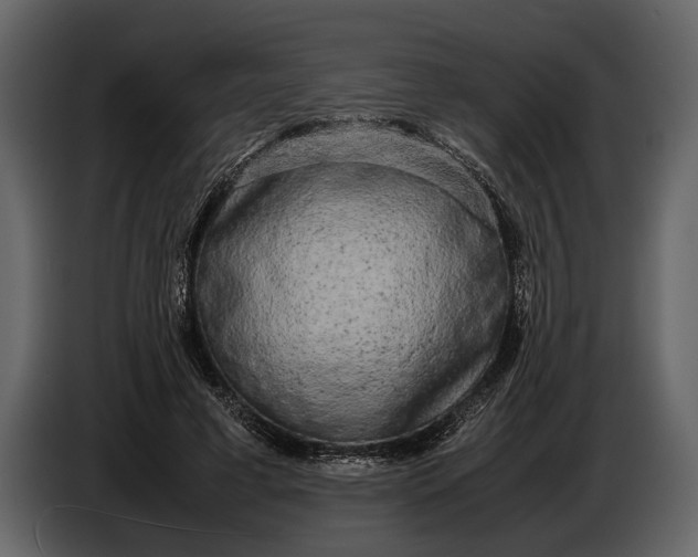 X0000086960593200705071337