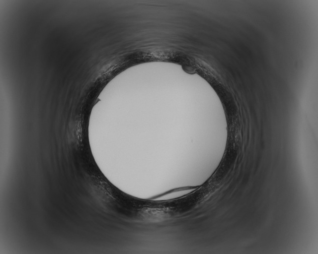 X0000086960595200705071337