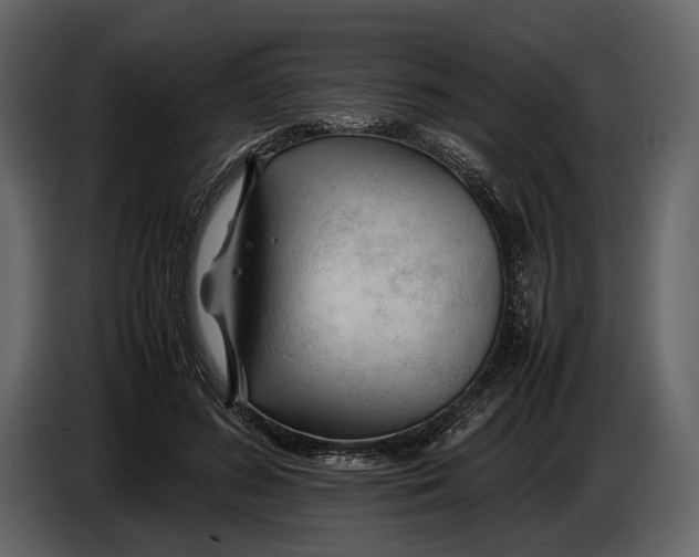 X0000086960596200705071337