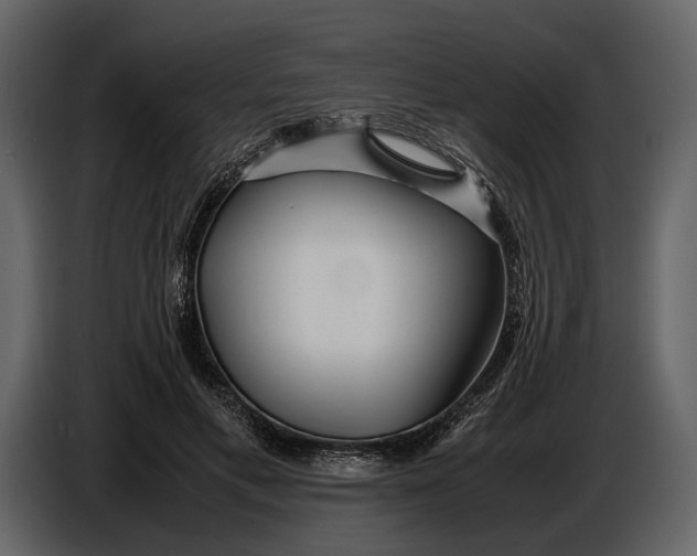 X0000086960597200705071337