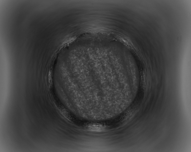 X0000086960598200705071337