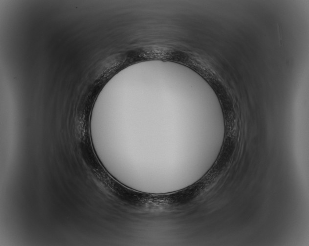 X0000086960599200705071337