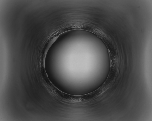 X0000086960600200705071337