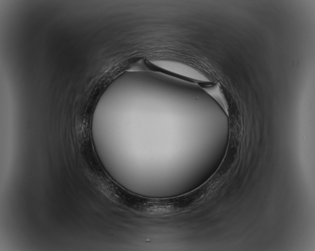 X0000086960601200705071337