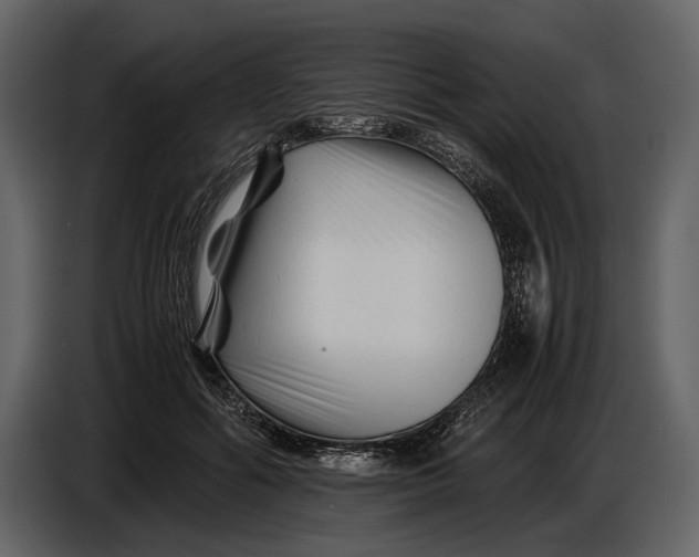 X0000086960602200705071337