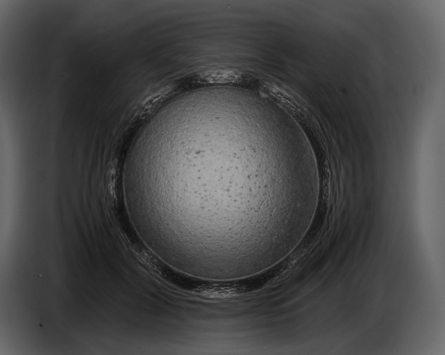 X0000086960604200705071337