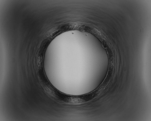 X0000086960605200705071337