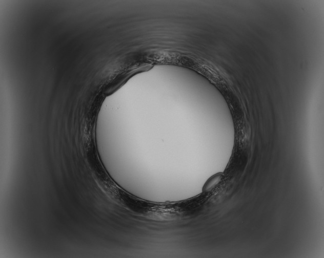 X0000086960607200705071337