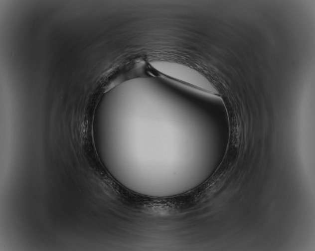 X0000086960608200705071337