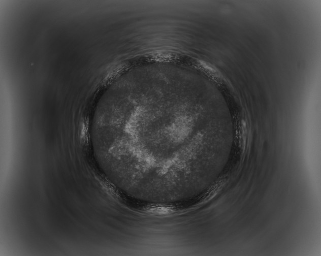 X0000086960610200705071337