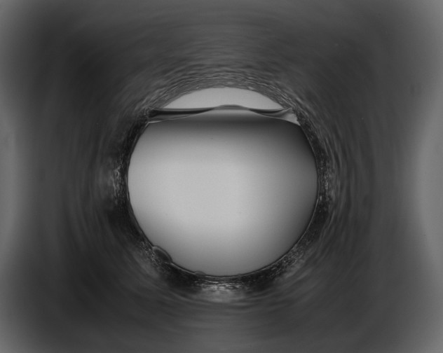 X0000086960611200705071337