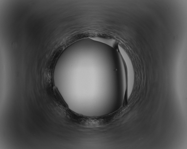 X0000086960613200705071337