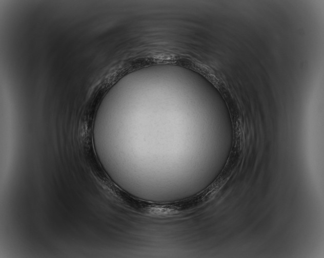 X0000086960614200705071337