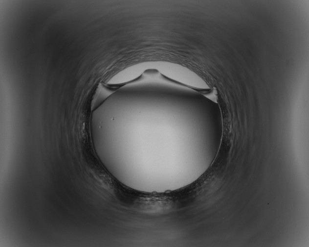 X0000086960615200705071337