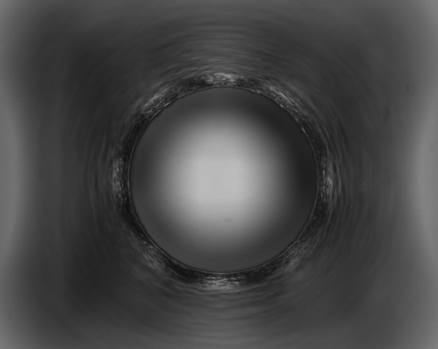 X0000086960616200705071337