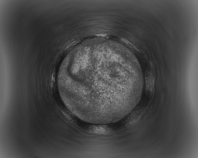 X0000086960618200705071337