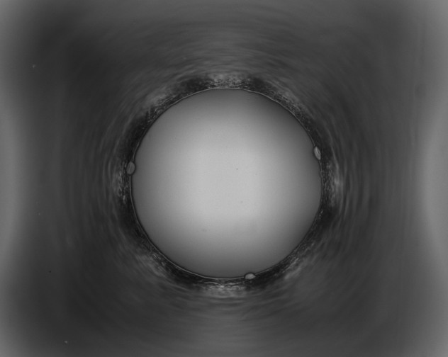 X0000086960619200705071337