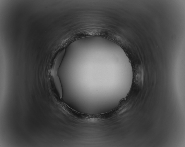 X0000086960620200705071337