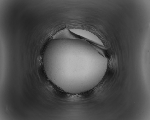 X0000086960621200705071337