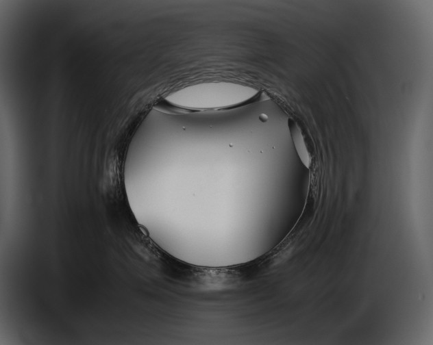 X0000086960623200705071337