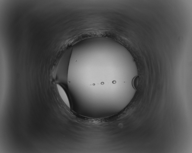X0000086960624200705071337