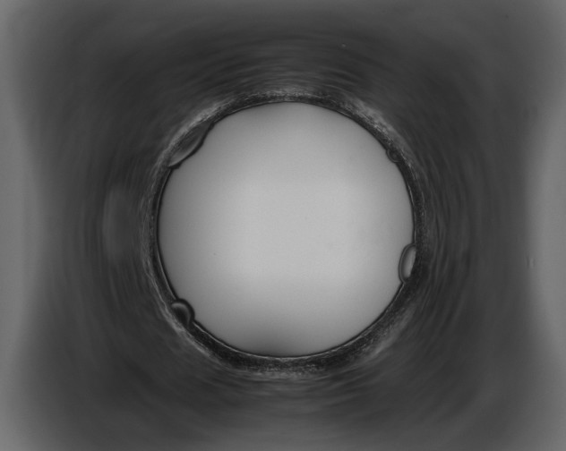 X0000086960625200705071336