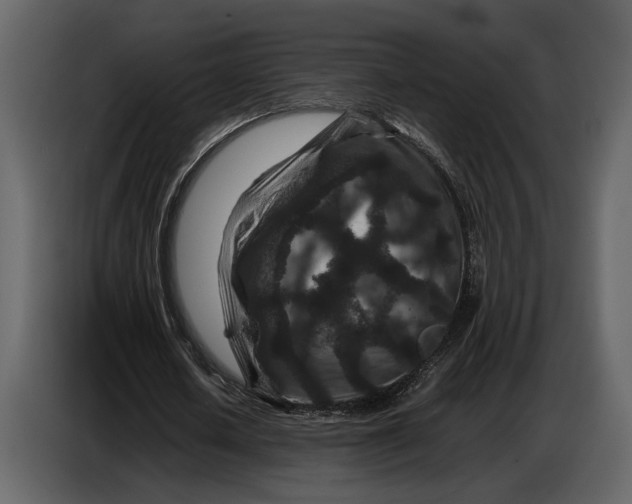X0000086960626200705071336