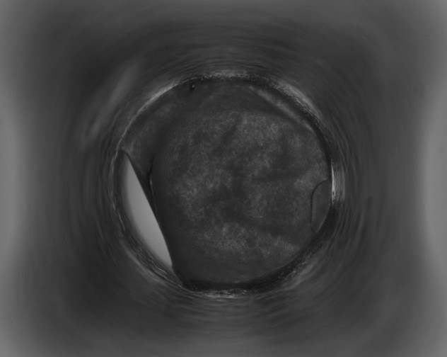 X0000086960627200705071336