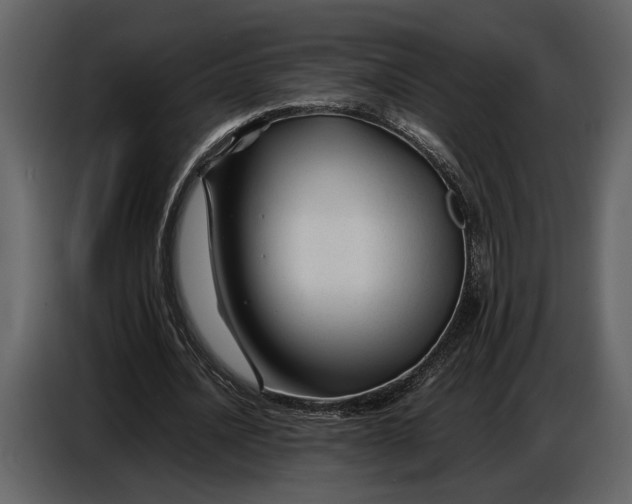 X0000086960628200705071336