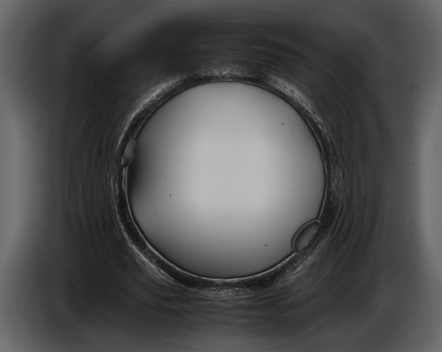 X0000086960629200705071336