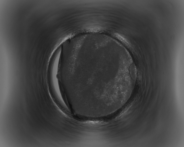 X0000086960630200705071336