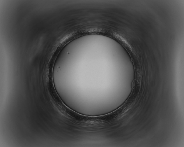 X0000086960631200705071336