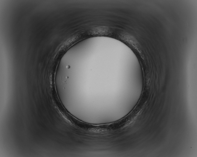 X0000086960633200705071336