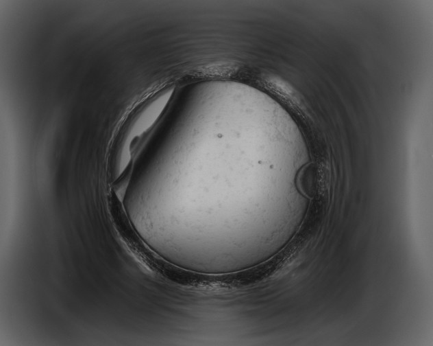 X0000086960634200705071336