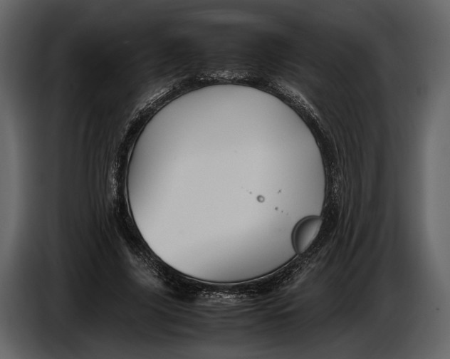 X0000086960635200705071336
