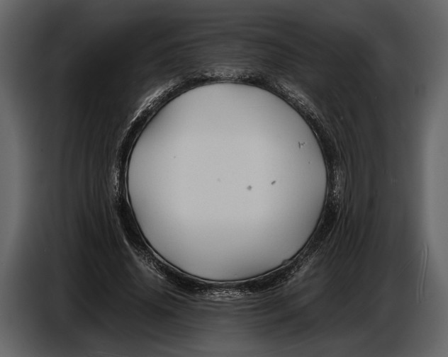 X0000086960636200705071336