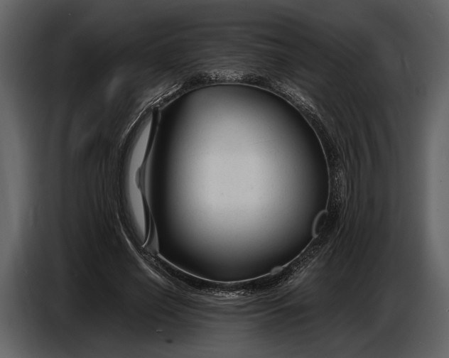 X0000086960638200705071336