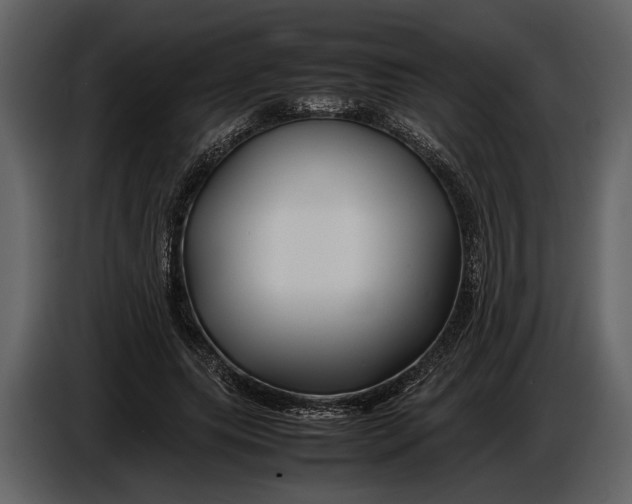 X0000086960639200705071337