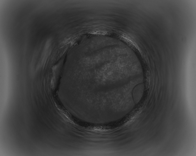 X0000086960641200705071337