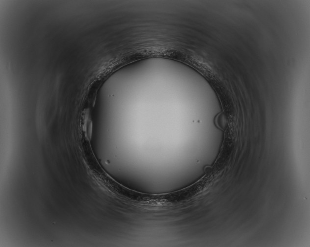 X0000086960642200705071337