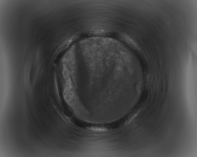 X0000086960644200705071337