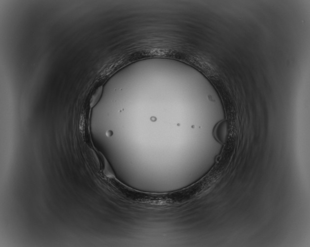 X0000086960646200705071337