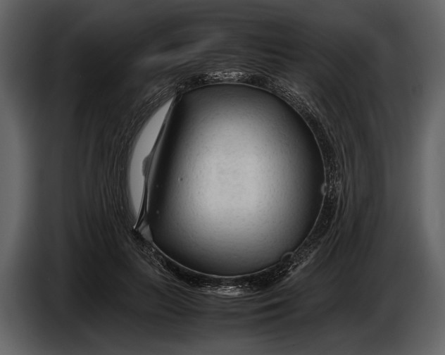 X0000086960647200705071337