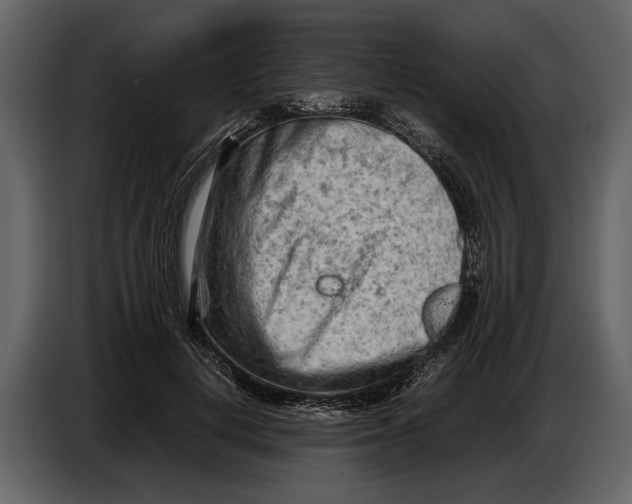 X0000086960648200705071337